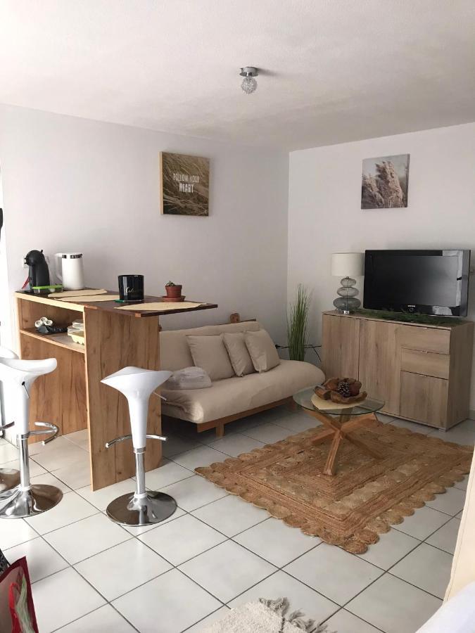 T2 Climatise Jardin & Court De Tennis/Piscine /Parking/Fibre Toulouse Dış mekan fotoğraf
